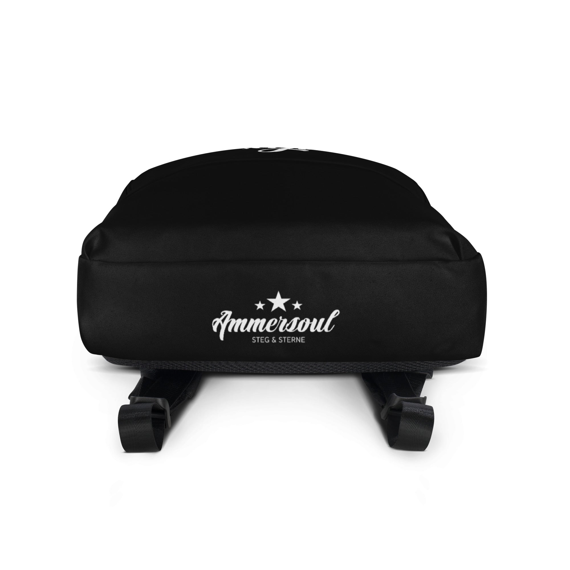 Aufsicht Lake Style Rucksack wasserdicht mit Laptopfach – stylischer Backpack für Alltag, Freizeit und Reisen.