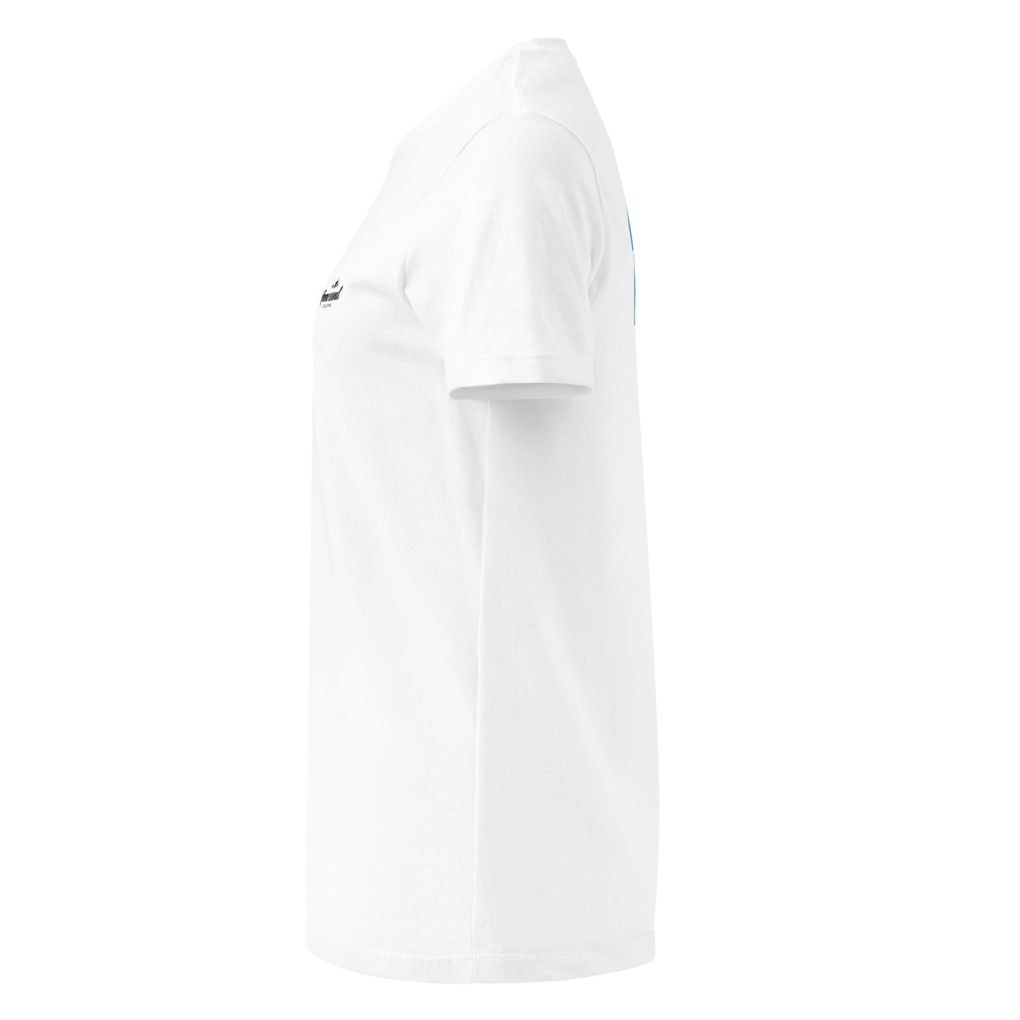 Windsurfen T-Shirt Damen, inspiriert vom Windsurfen am Ammersee, Windsurfing am Starnberger See, Windsurfen am Wörthsee