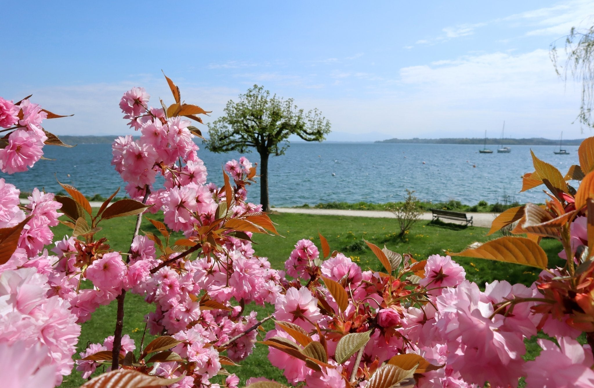 Frühling im Fünfseenland mit blühender Natur und ruhigen Uferwegen am Ammersee