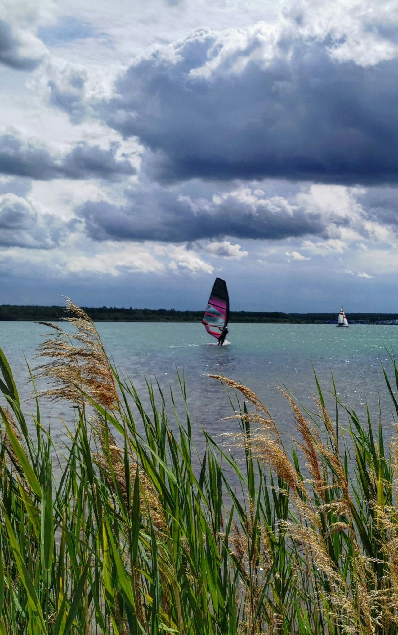 Ammersoul Windsurfing Mode inspiriert vom Ammersee im Fünfseenland Bayern, nahe München, Augsburg und Landsberg