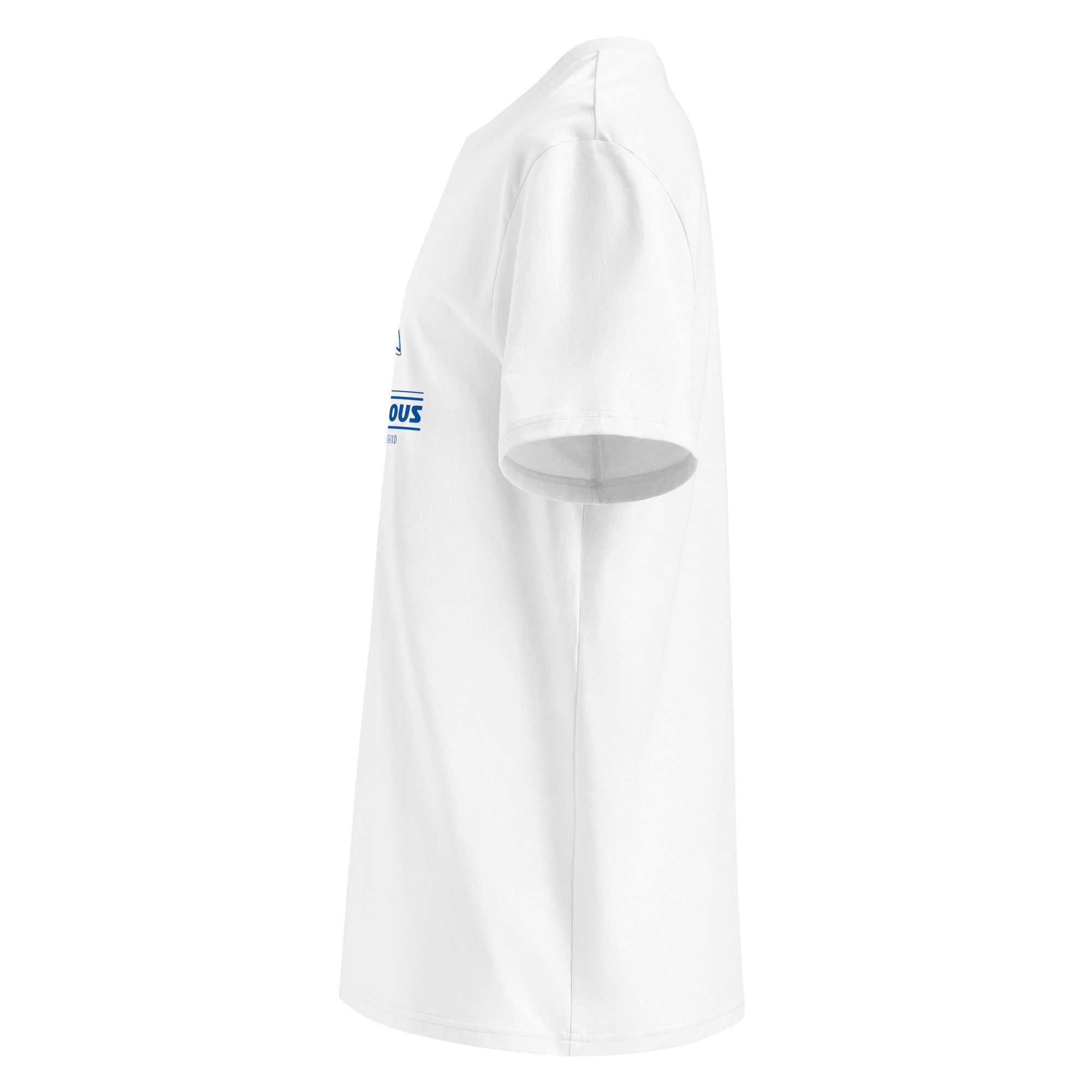 Foilsurfen & Wingfoilen T-Shirt, inspiriert vom Wingfoilen am Ammersee, Foilen am Starnberger See & Wingfoilen am Pilsensee